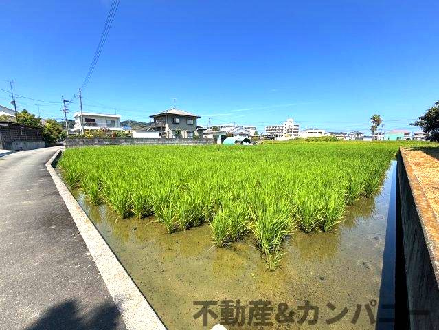太山寺町のおトチ　松山市太山寺町売土地の外観|物件の外観です