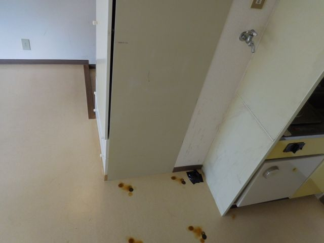 丸矢ハイツのその他