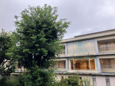 【展望】 | プラウド蘆花公園