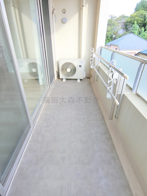 バースシティ大田中央のバルコニー|リビング側バルコニー