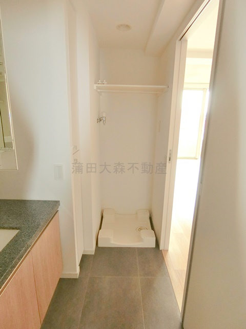 バースシティ大田中央の洗面所