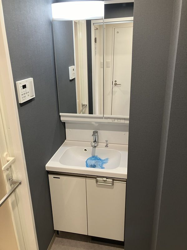 RELUXIA東向島Ⅱの洗面所