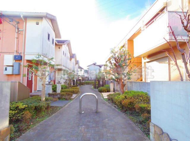 イル・ロトーレC