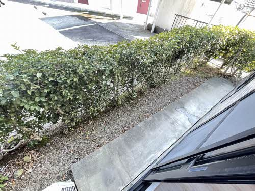 ディアスKのバルコニー|暖かな日差しのふりそそぐバルコニー