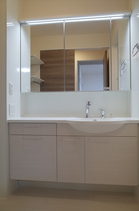 パピヨンBの洗面所