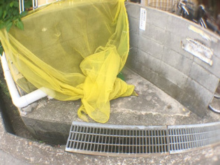 パインハイツ武庫之荘のその他