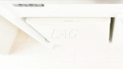 【その他】 | フリングホルニ