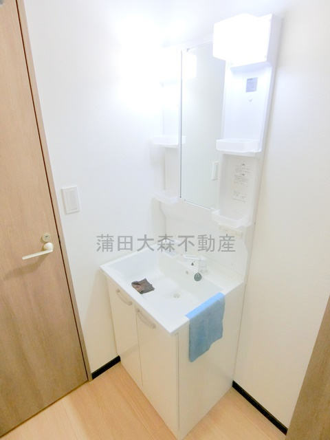 山王カーサグランデの洗面所