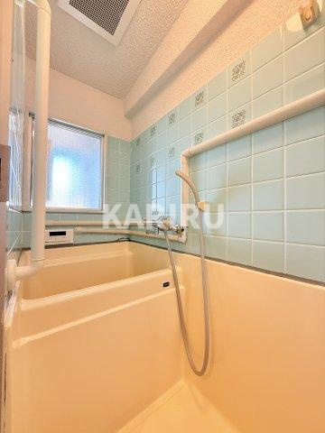 ツダフラットの浴室