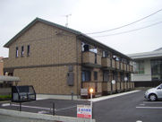 ウィン　オカダヤの画像