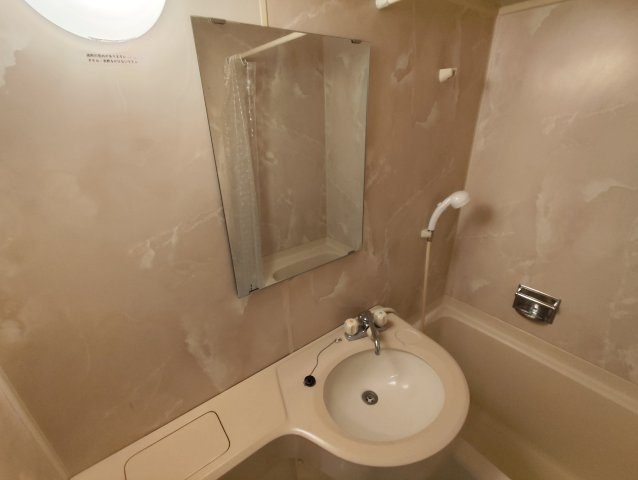 ライオンズマンション東新小岩の洗面所