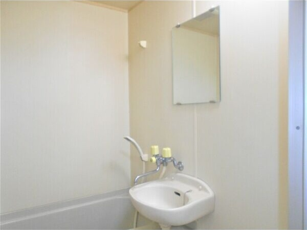 プリート田園の洗面所