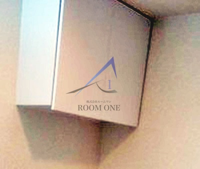 第一スカイハイツ足立のその他