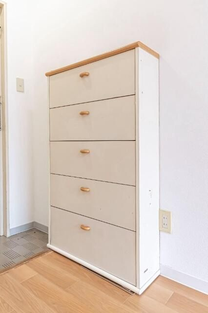 ホーユウコンフォルト隅田公園のその他|シューズボックス