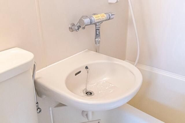 ホーユウコンフォルト隅田公園の洗面所