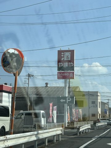 ワイズの展望