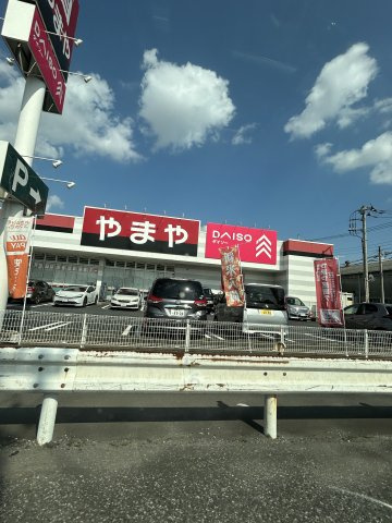 ワイズの周辺