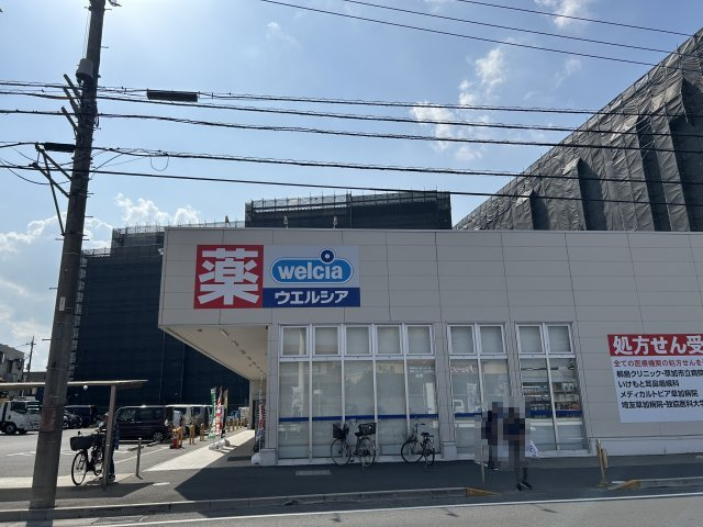 ワイズの周辺