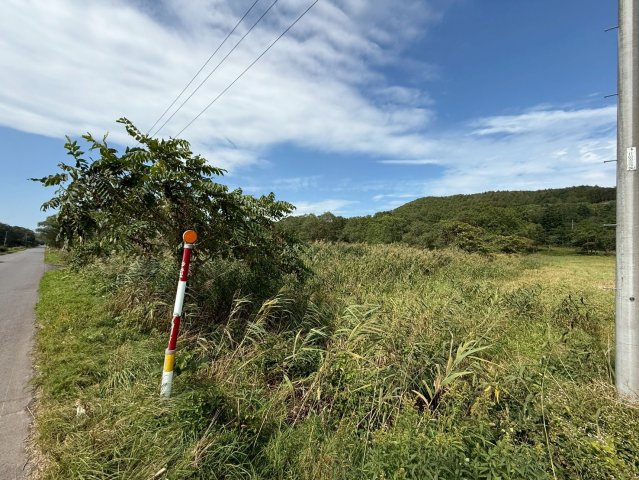 桜田十三線　売土地
