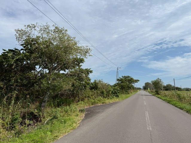 桜田十三線　売土地の周辺