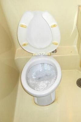 【トイレ】 | プラザローヤル５