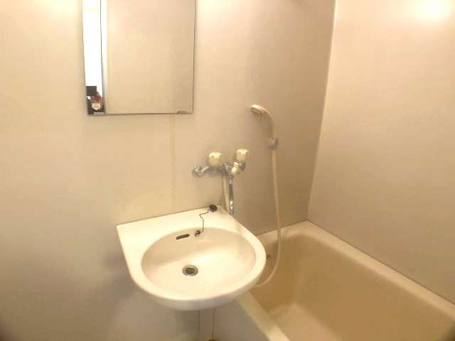 さいたま市西区大字島根のアパートの洗面所