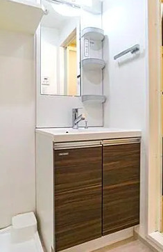 AR向島の洗面所