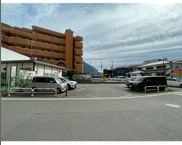 ルシーダのその他