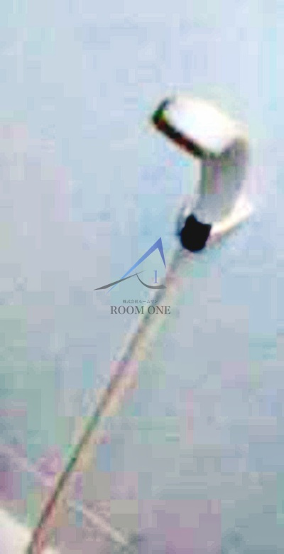 エルソルビオス