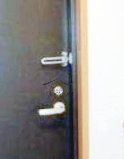 エルソルビオス