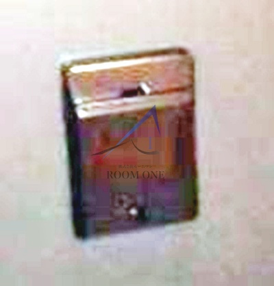 エルソルビオス