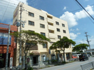 ブロードビーン翁長の画像