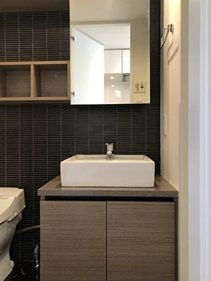 【独立洗面台】 | カスタリア大塚 