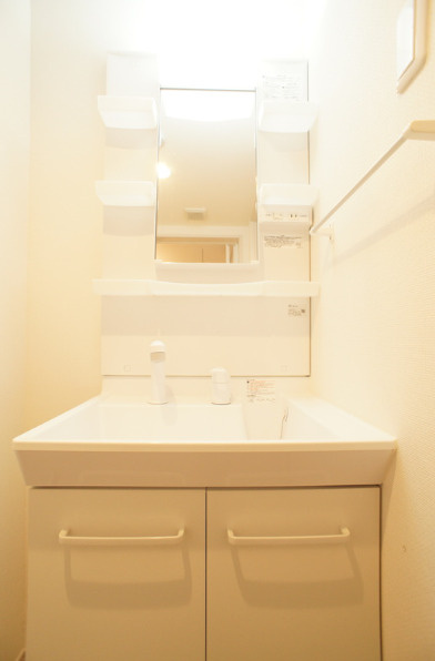 メゾン　ド　コンフォート　宮本Ａの洗面所