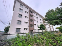 白幡台住宅3号棟の画像