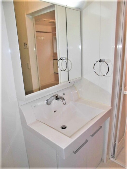 ル・ヴェール　B棟の洗面所