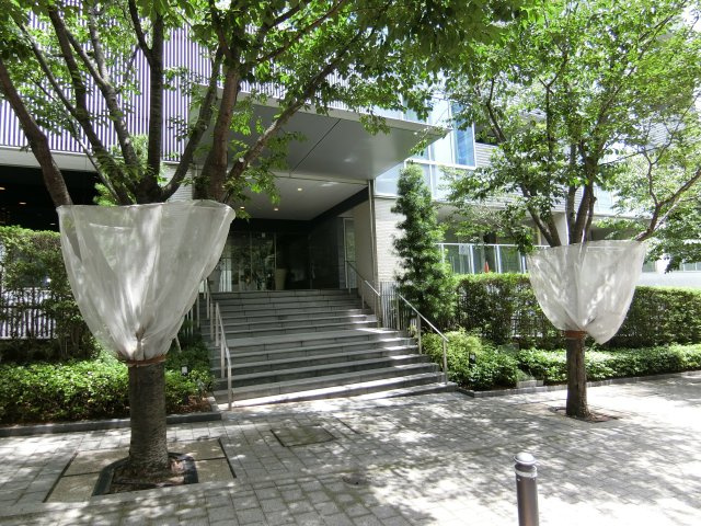 【その他共用部分】 | パークコート神宮前 