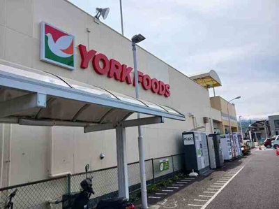 【その他】 | サミュール