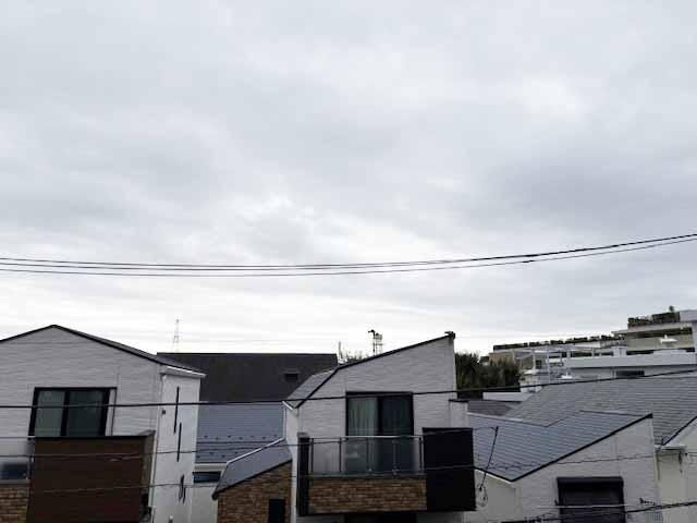 上野毛南パーク・ホームズの展望