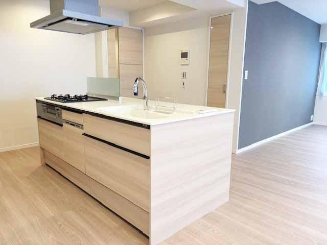 上野毛南パーク・ホームズのキッチン