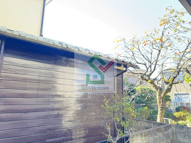 ヴェルデのその他