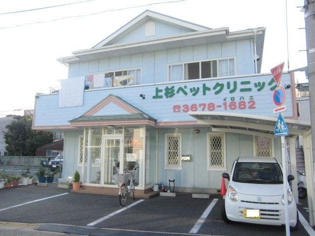 ファンメゾンスッドのその他共用部分|★動物病院／上杉ペットクリニック★