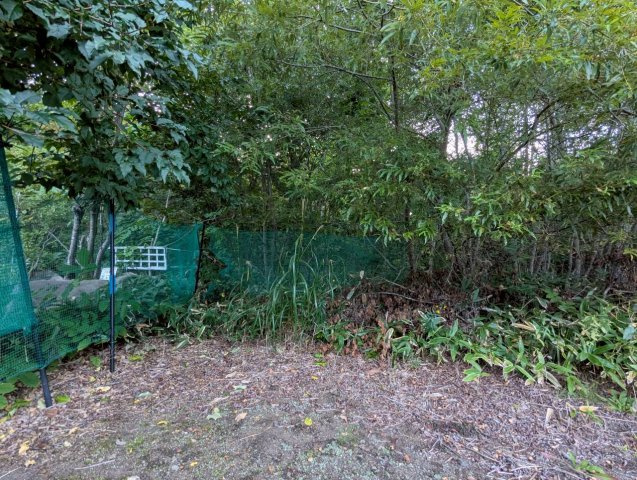 屈斜路原野　温泉付き土地！の外観