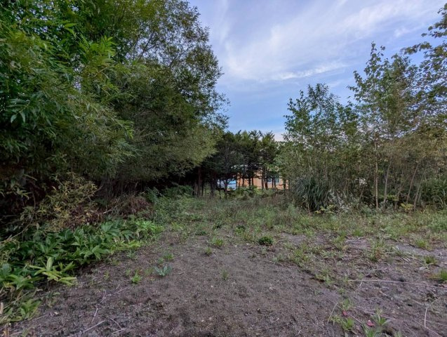 屈斜路原野　温泉付き土地！の外観