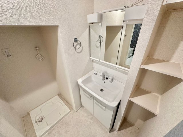 ライフステージ岡田Ⅰの洗面所