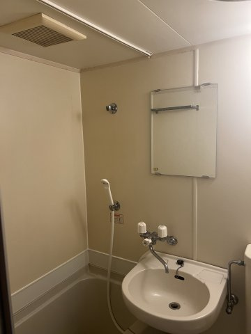 坂戸ダイカンプラザCityⅡの浴室