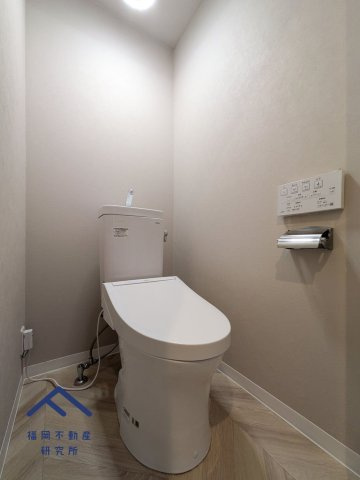 ロワールマンション大橋5のトイレ