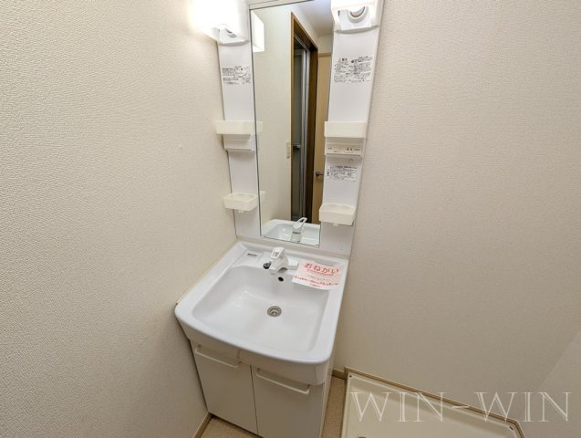 ロジュマン緑ケ丘の独立洗面台