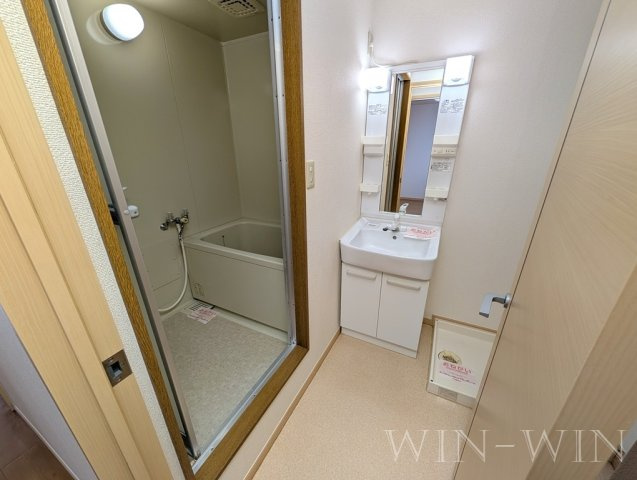 ロジュマン緑ケ丘の洗面所