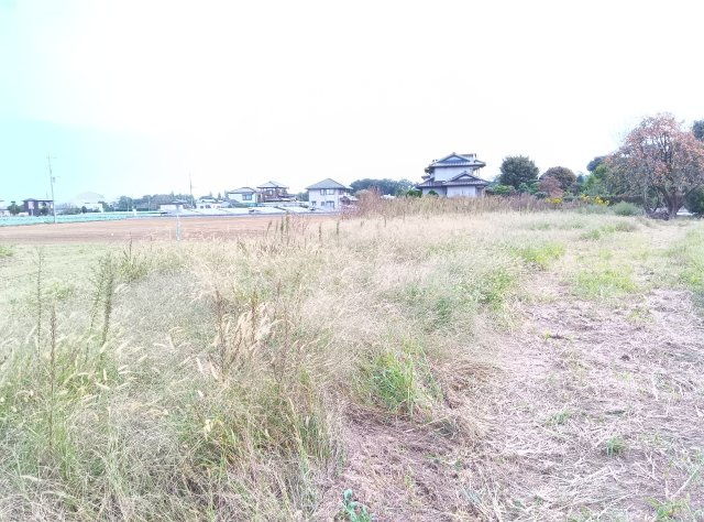 筑西市藤ケ谷の外観